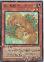 UR 森の聖獣 キティテール