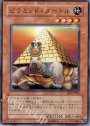 N ピラミッド・タートル