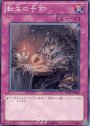 N 転生の予言