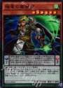 SR 賤竜の魔術師