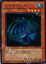 N ヒゲアンコウ