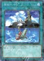 P-N サルベージ