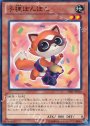 N 子狸ぽんぽこ