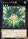 R メリアスの木霊