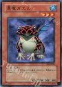 N 悪魔ガエル