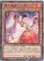 P-N 麗の魔妖-妲姫