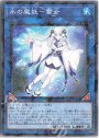 P-N 氷の魔妖-雪女