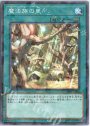 P-N 魔法族の里
