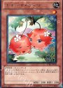 R ナチュル・チェリー