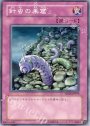 NR 針虫の巣窟