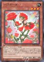 R バラガール