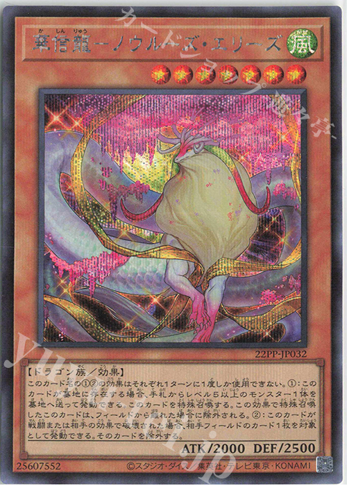 SE 華信龍-ノウルーズ・エリーズ | 販売 | [22PP] PREMIUM PACK 2022 | 遊戯王 OCG