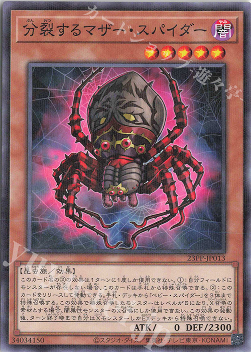 P-N 分裂するマザー・スパイダー | 販売 | [23PP] PREMIUM PACK 2023 | 遊戯王 OCG