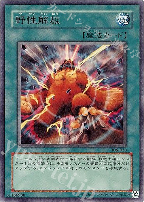 R 野性解放 | 買取 | [306] 混沌を制す者 | 遊戯王 OCG