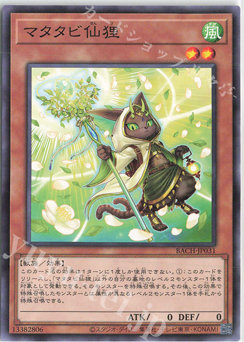 N マタタビ仙狸 | 販売 | [BACH] BATTLE OF CHAOS | 遊戯王 OCG