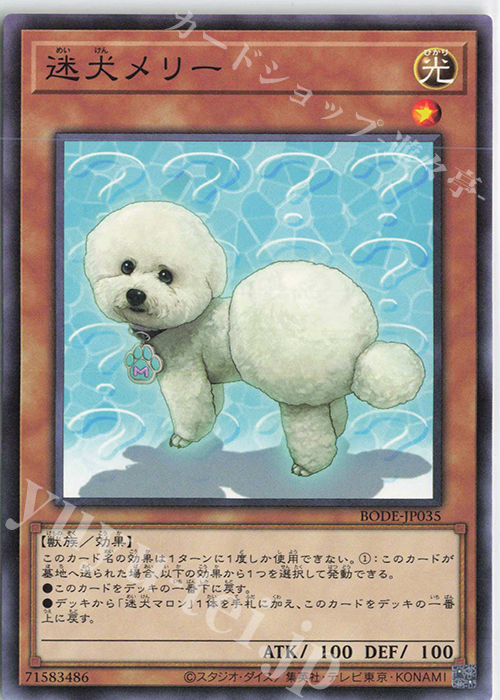 NR 迷犬メリー | 販売 | [BODE] BURST OF DESTINY | 遊戯王 OCG