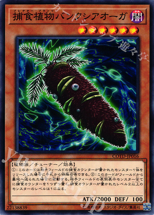N 捕食植物バンクシアオーガ | 販売 | [COTD] CODE OF THE DUELIST | 遊戯王 OCG