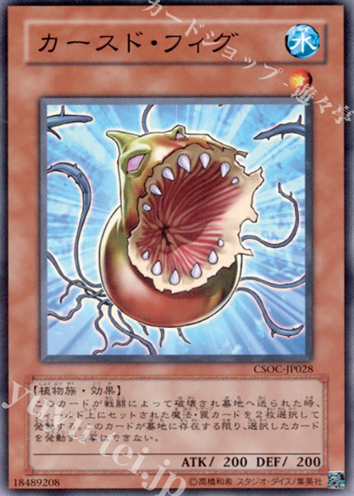 NR カースド・フィグ | 販売 | [CSOC] CROSSROADS OF CHAOS | 遊戯王 OCG