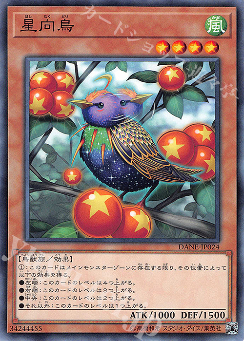 N 星向鳥 | 販売 | [DANE] DARK NEOSTORM | 遊戯王 OCG