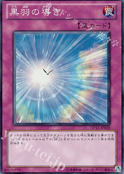 SR 黒羽の導き | 販売 | [DP11] デュエリストパック -クロウ編- | 遊戯王 OCG