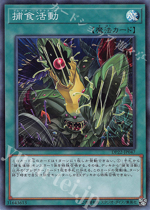 SR 捕食活動 | 買取 | [DP22] デュエリストパック -レジェンドデュエリスト編5- | 遊戯王 OCG