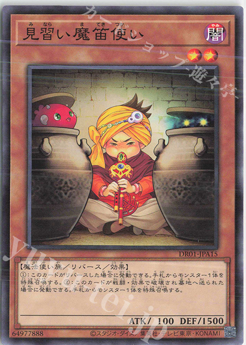 N 見習い魔笛使い | 販売 | [DR01] デュエルロワイヤル デッキセットEX | 遊戯王 OCG