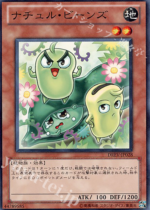 N ナチュル・ビーンズ | 販売 | [DREV] DUELIST REVOLUTION | 遊戯王 OCG