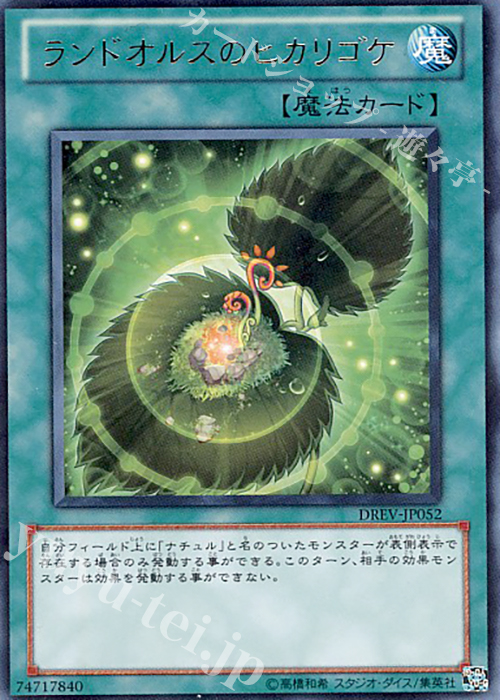 R ランドオルスのヒカリゴケ | 販売 | [DREV] DUELIST REVOLUTION | 遊戯王 OCG