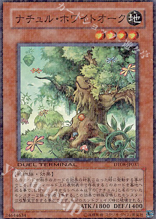 SR ナチュル・ホワイトオーク | 販売 | [DT08] トリシューラの鼓動！！ | 遊戯王 OCG