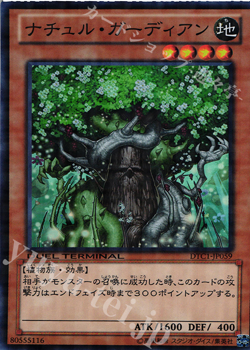 SR ナチュル・ガーディアン | 販売 | [DTC1] クロニクルI 覚醒の章 | 遊戯王 OCG