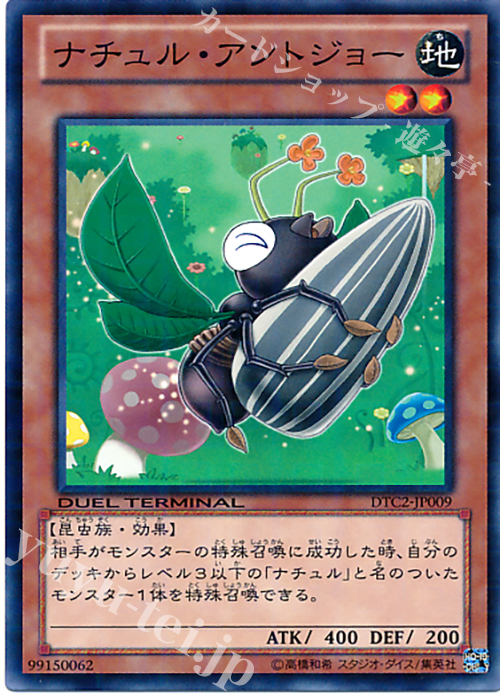 N ナチュル・アントジョー | 販売 | [DTC2] クロニクルII 混沌の章 | 遊戯王 OCG