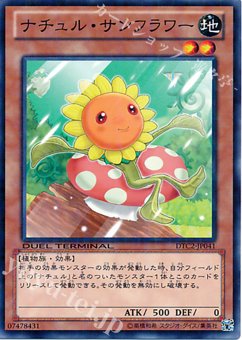 N ナチュル・サンフラワー | 買取 | [DTC2] クロニクルII 混沌の章 | 遊戯王 OCG