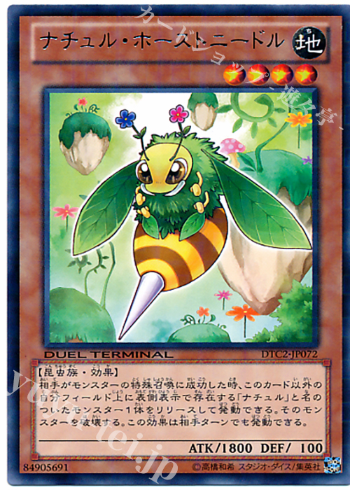 R ナチュル・ホーストニードル | 買取 | [DTC2] クロニクルII 混沌の章 | 遊戯王 OCG