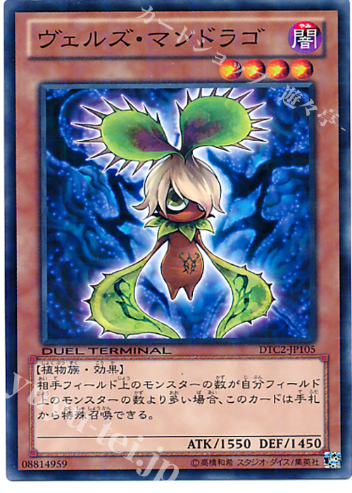 N ヴェルズ・マンドラゴ | 買取 | [DTC2] クロニクルII 混沌の章 | 遊戯王 OCG