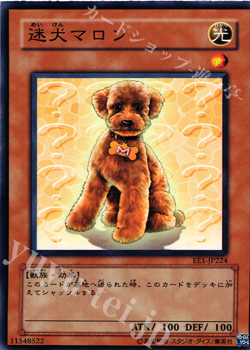 「かわいい～！」 EDITION EXPERT [EE1] | 販売 迷犬マロン N Volume 遊戯王 | 1 遊戯王OCG デュエルモンスターズ