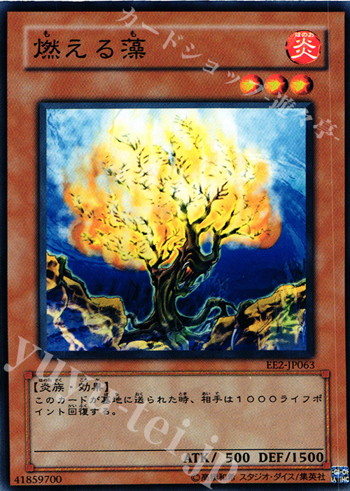 N 燃える藻 | 買取 | [EE2] EXPERT EDITION Volume 2 | 遊戯王 OCG