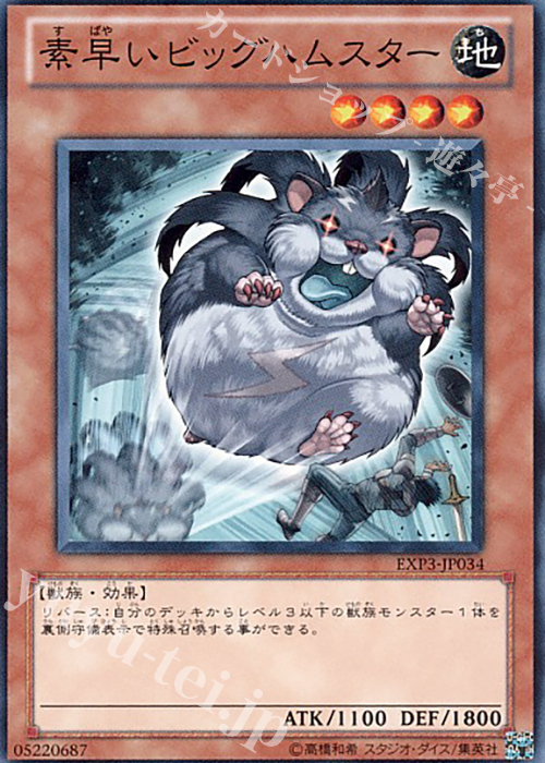 N 素早いビッグハムスター | 販売 | [EXP3] EXTRA PACK Volume 3 | 遊戯王 OCG