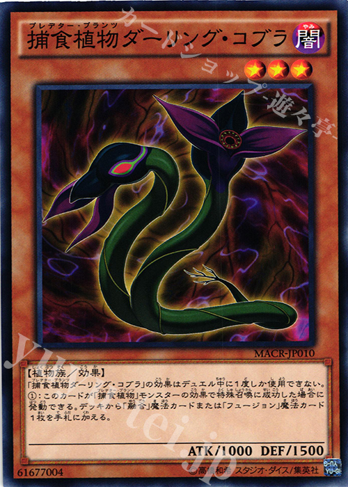 N 捕食植物ダーリング・コブラ | 販売 | [MACR] マキシマム・クライシス | 遊戯王 OCG