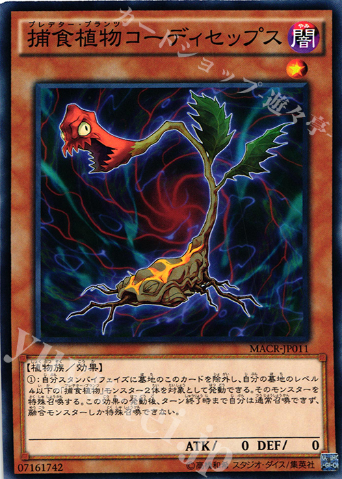 N 捕食植物コーディセップス | 販売 | [MACR] マキシマム・クライシス | 遊戯王 OCG