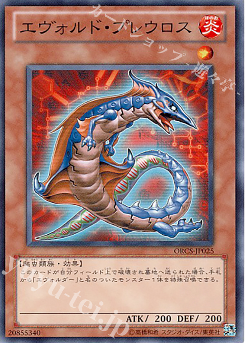 N エヴォルド・プレウロス | 販売 | [ORCS] ORDER OF CHAOS | 遊戯王 OCG