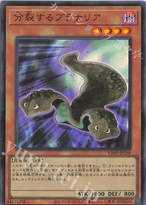 UR 分裂するプラナリア | 販売 | 書籍付属カード | 遊戯王 OCG