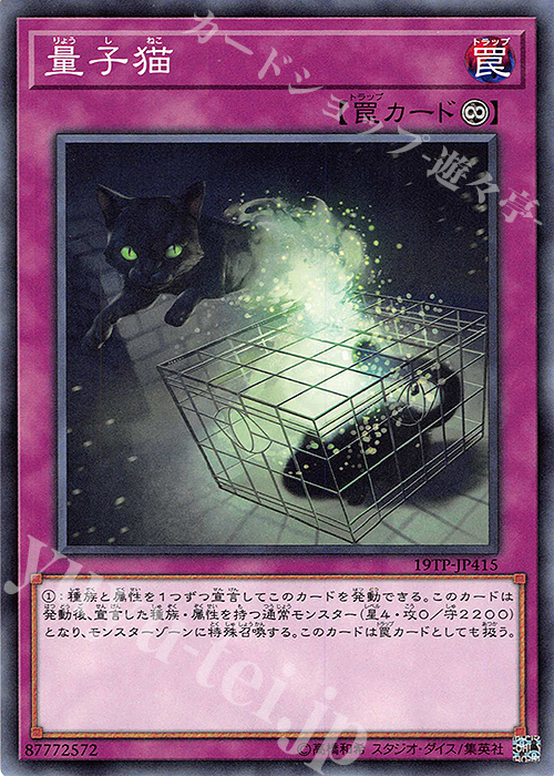 N 量子猫 | 販売 | 大会関連カード | 遊戯王 OCG
