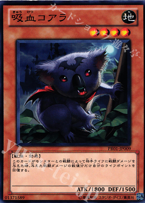 N 吸血コアラ | 買取 | その他プロモーションカード | 遊戯王 OCG