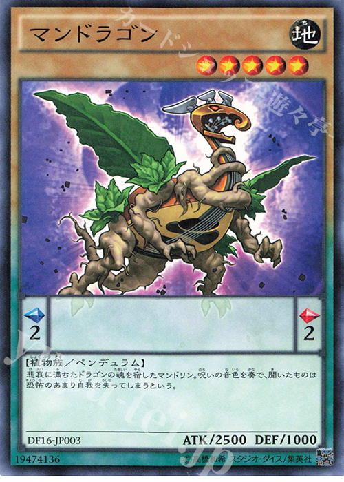 N マンドラゴン | 販売 | その他プロモーションカード | 遊戯王 OCG