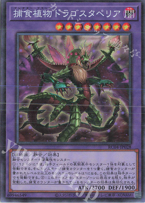 CR 捕食植物ドラゴスタペリア | 販売 | [RC04] RARITY COLLECTION -QUARTER CENTURY EDITION- | 遊戯王 OCG