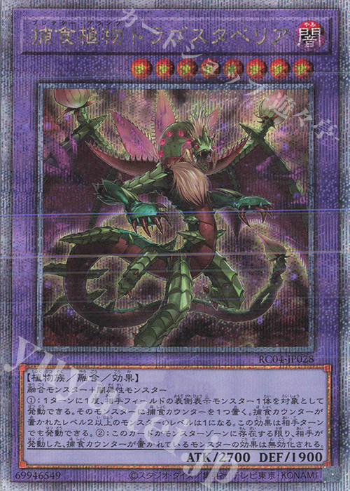 QCSE 捕食植物ドラゴスタペリア | 販売 | [RC04] RARITY COLLECTION -QUARTER CENTURY EDITION- | 遊戯王 OCG