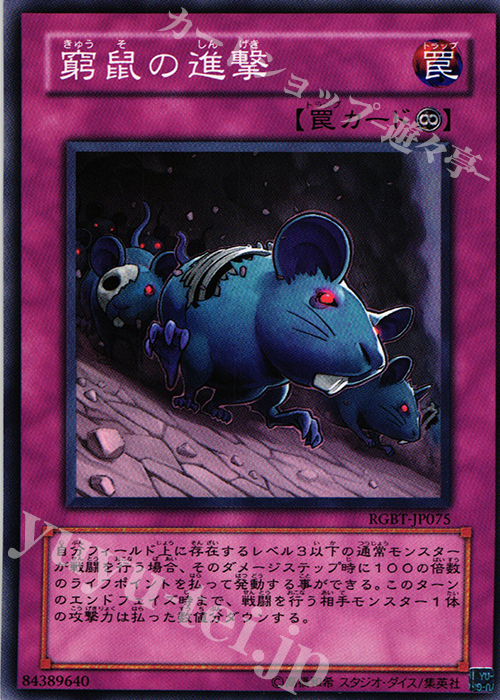N 窮鼠の進撃 | 販売 | [RGBT] RAGING BATTLE | 遊戯王 OCG