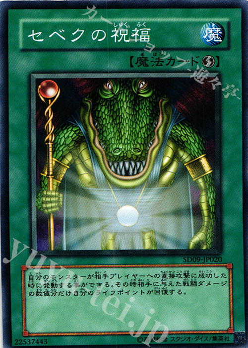 N セベクの祝福 | 販売 | [SD09] STRUCTURE DECK -恐竜の鼓動- | 遊戯王 OCG