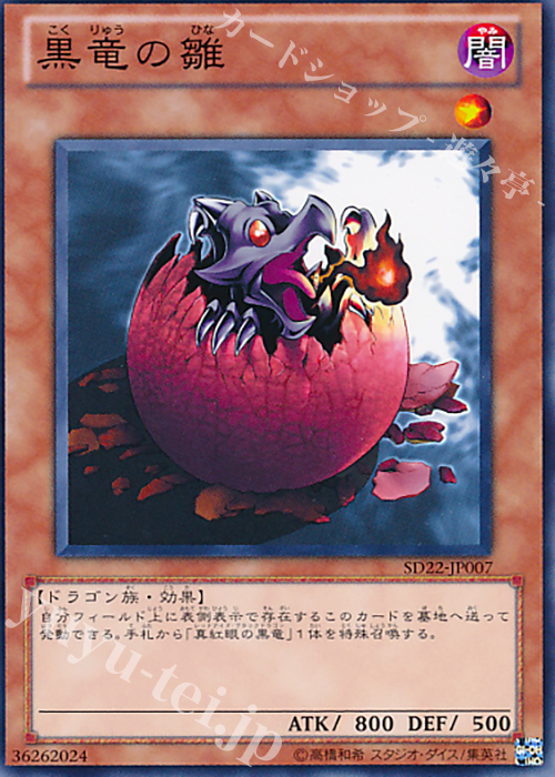 N 黒竜の雛 | 販売 | [SD1] STRUCTURE DECK -ドラゴンの力- | 遊戯王 OCG
