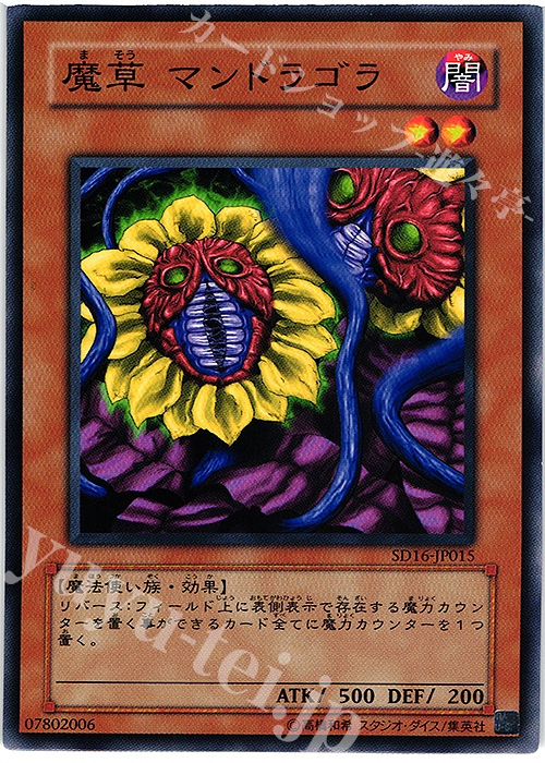 N 魔草 マンドラゴラ | 販売 | [SD16] STRUCTURE DECK -ロード・オブ・マジシャン- | 遊戯王 OCG